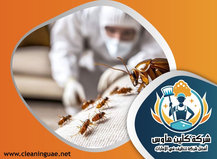 شركة مكافحة حشرات في البرشاء 5 شركة مكافحة حشرات في البرشاء