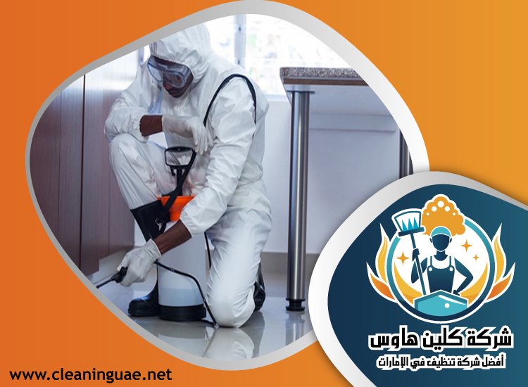 شركة مكافحة حشرات في البرشاء 3 شركة مكافحة حشرات في البرشاء